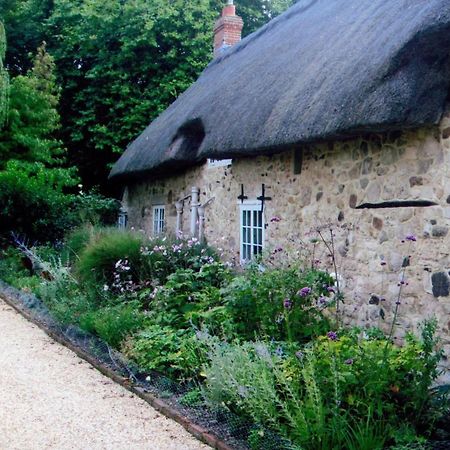Afton Thatch: Beautiful Thatched Family Cottage Freshwater Eksteriør bilde